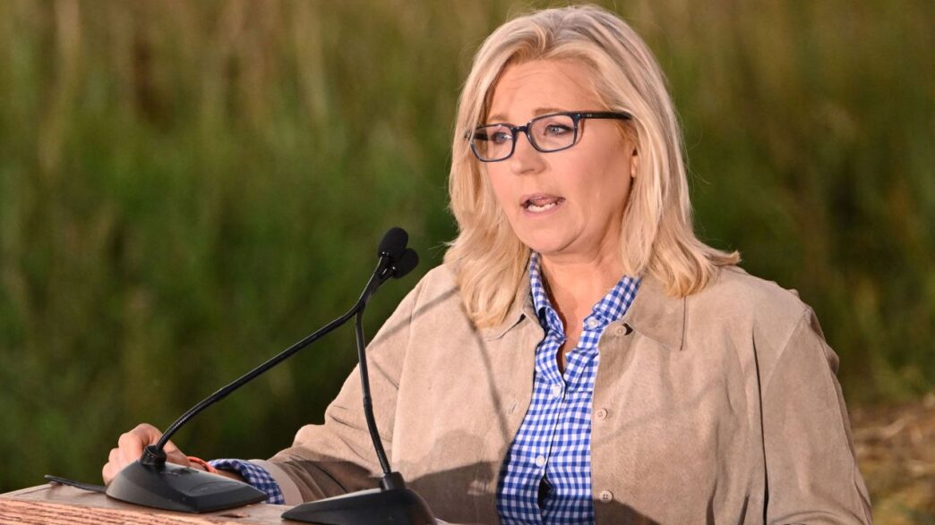 Source: CNN Watch what Liz Cheney told supporters after conceding primary
